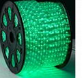 LED rope light 1