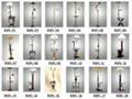 Floor  lamp  Pendent lamp 1