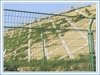 Wire Mesh Security Fencing