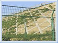 Wire Mesh Security Fencing