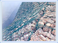 Gabion Box