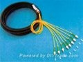 Bunchy pigtail fiber,zon pigtail fiber,waterproof pigtail cable 3
