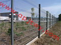 wire mesh fence 1