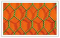 hexagonal wire netting