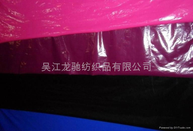 NYLON TAFFETA FOR UNDERWEAR  3