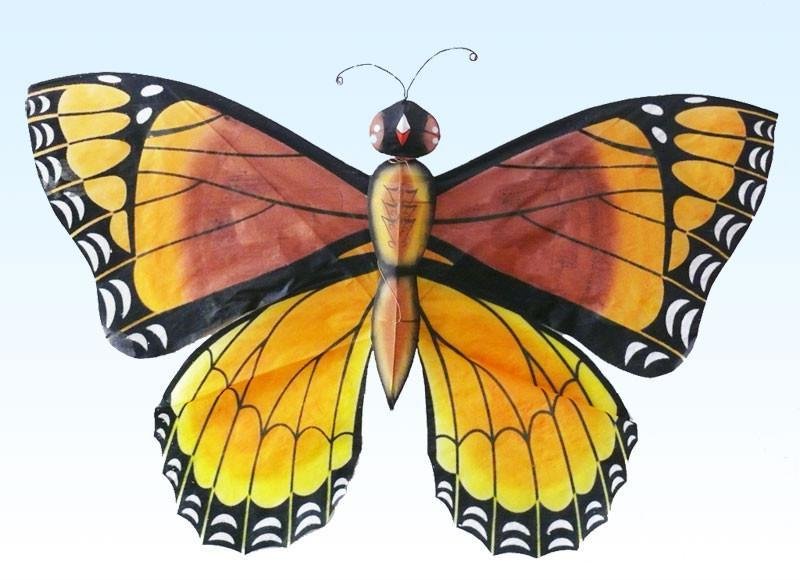 butterfly kite 2