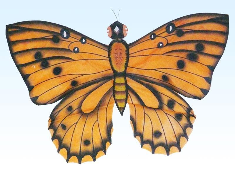 butterfly kite 4