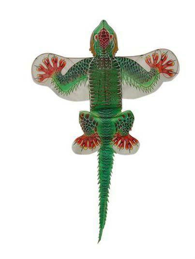 lizard kite 5