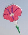 Morning Glory Flower kite 1