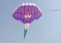 Morning Glory Flower kite 2