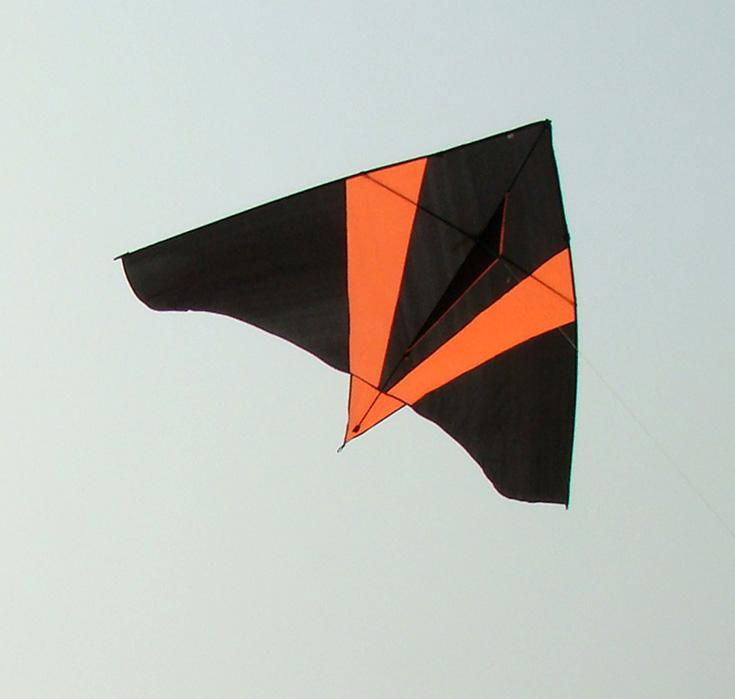 delta kite 2
