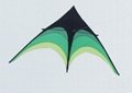 Green Shrub Delta Kite  1