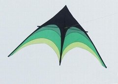 Green Shrub Delta Kite 