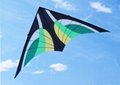 Green Shrub Delta Kite  2