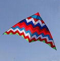 Wavy Delta Kite