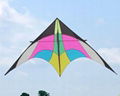 Green Shrub Delta Kite  4