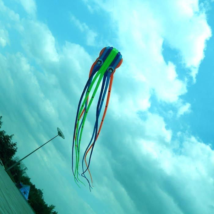 Octopus Kite 4