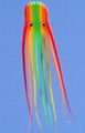 Octopus Kite 5