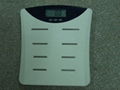 BodyFat & Water Measurement Scale 1