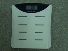BodyFat & Water Measurement Scale