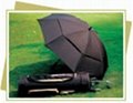 golf umbrella/umbrella 1