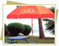 beach umbrella/umbrella