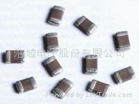 Chip Capacitors  2