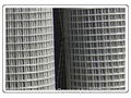 Welded Wire Mesh