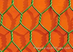 Hexagonal Wire Mesh