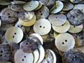 shell button 1