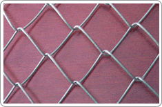  Chain Link Fence