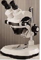 Stereo Microscope