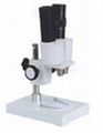 Stereo Microscope 1