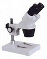 Stereo Microscope 1
