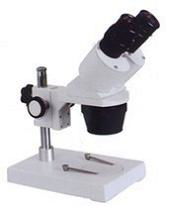 Stereo Microscope