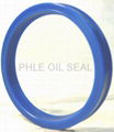 hydraulic seal 1