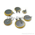 Lithium Button Cells