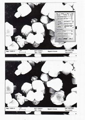 Synthetic Zeolite-4A (Detergent grade)