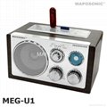 Designer Wooden AM/FM Radio with Full Function Control and USB/SD/MMC MP3 Playba