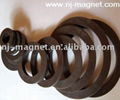 Ferrit Magnet Ring 1