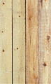 PINE and Eucalyptus  - Pallets /