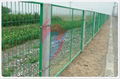 wire mesh fence 3