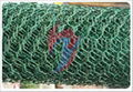 hexagonal wire mesh 2