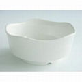 melamine dish 2