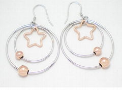 925 Silver earring