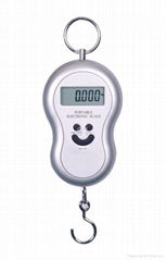 Electronic Scale