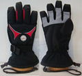 snow glove 1