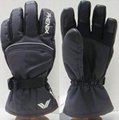 snow glove 2