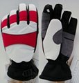 snow glove 5