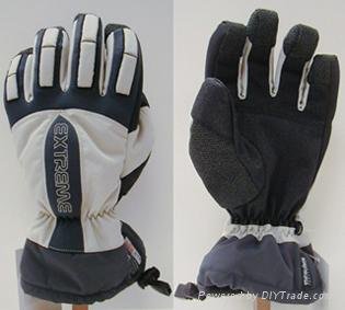 ski glove 2